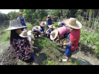 Organic garden thai cooking school chiang mai thailand march 7 2017