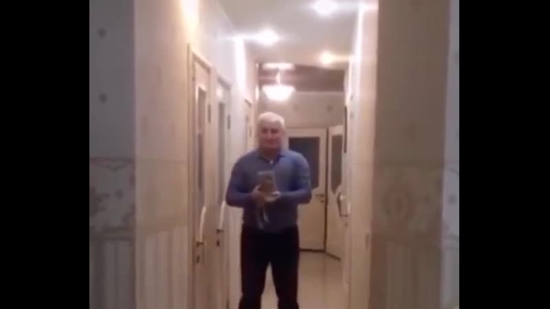 Дед, котёнок и гироскутер