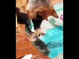 Помог малышу