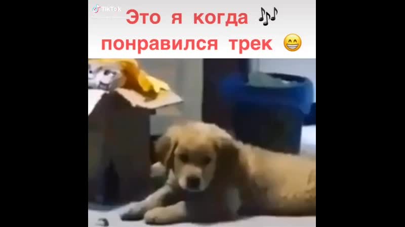 Кагда очень нравится трек