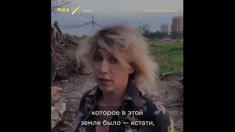 Вырубка леса в центре москвы