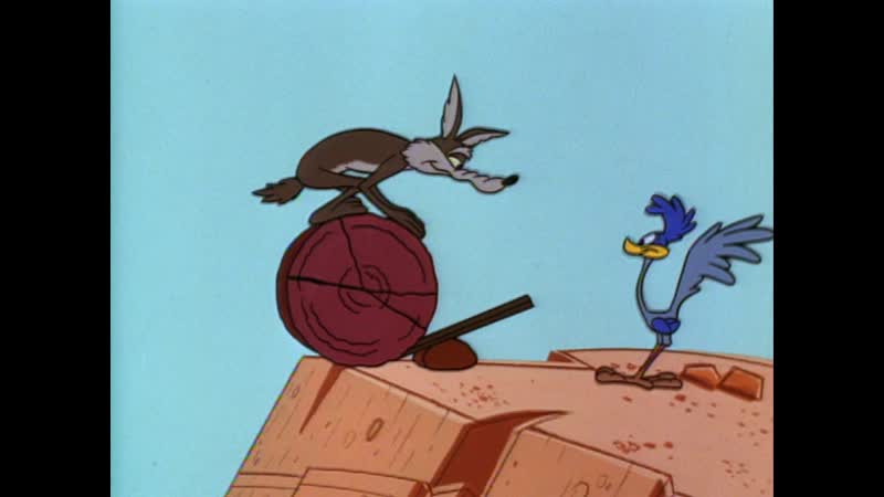 Roadrunner and wile e coyote tired and feathered (1965)