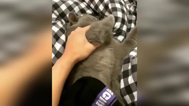 Вонючие носки