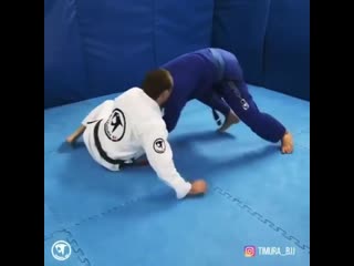 Reversal sweep trap counter to the toreando pass