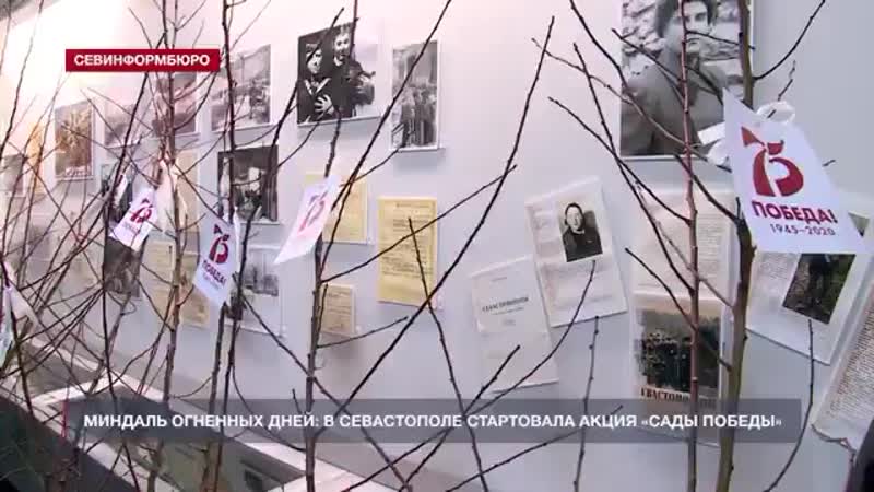 Оккупированный севастополь и миндаль победы над фашизмом mp4