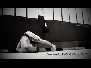 Prasara yoga plow transitions