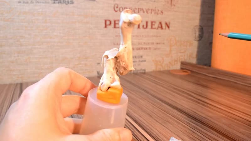 Уникальная вещь найденная на кухне the unique thing found in the kitchen