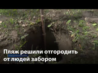 Пляж решили отгородить от людей забором