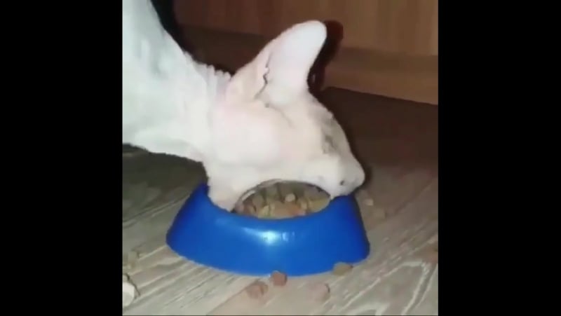 Экскаватор