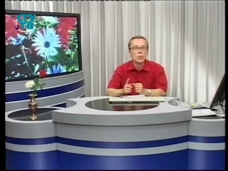 Цветы урок 3 6 эффектные однолетники