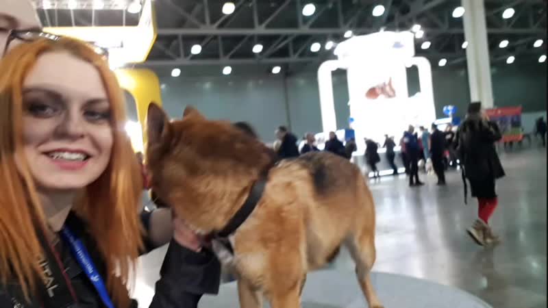 Шалайка презентация евразия 2019