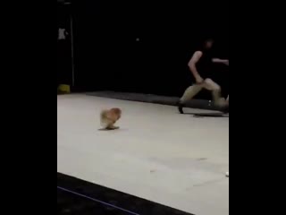 Ig perrie during rehearsals for bigweekend today! ️ 25th may 2019