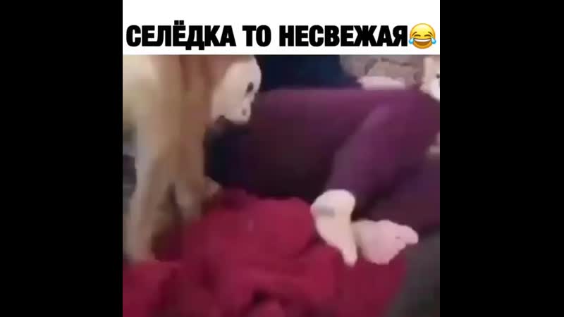 Minuta slavi 20200407 7 mp4