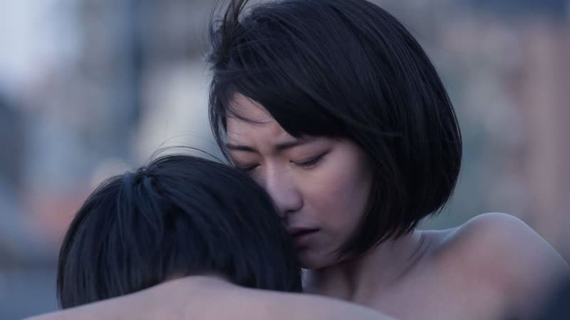 Кошачий рассвет (2017)