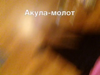 Участница камила шайгарданова