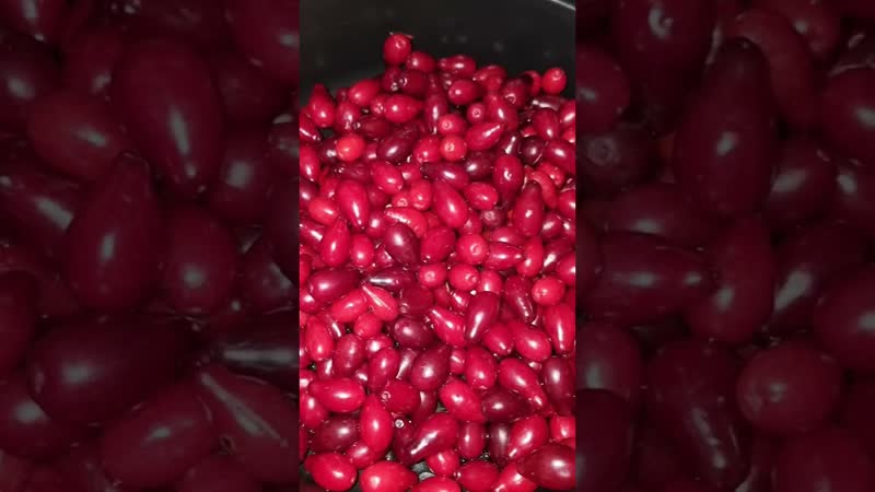 Кизилоа на самогоне! срочно на рынок за кизилом #самогон #настойка #кизилоа #кизил