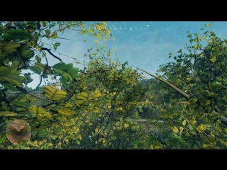 Live кладовая геймера