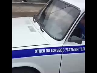 Bpan mafia 20200818 2 mp4