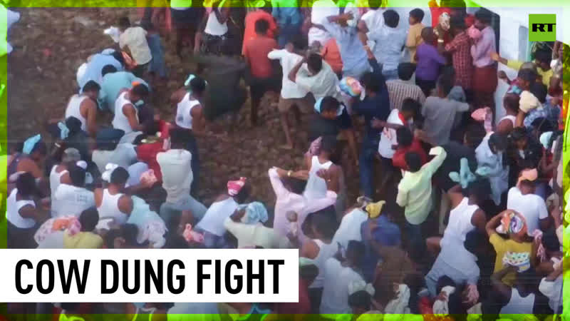 Indians celebrate ugadi festival by participating in cow dung fight
