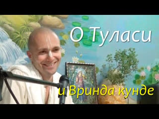 О туласи и вринда кунде cандхья аватар д