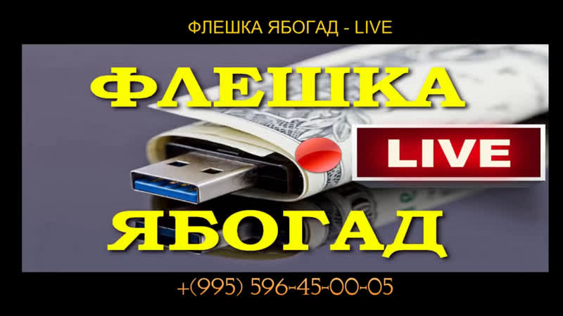 Флешка ябогад лайф