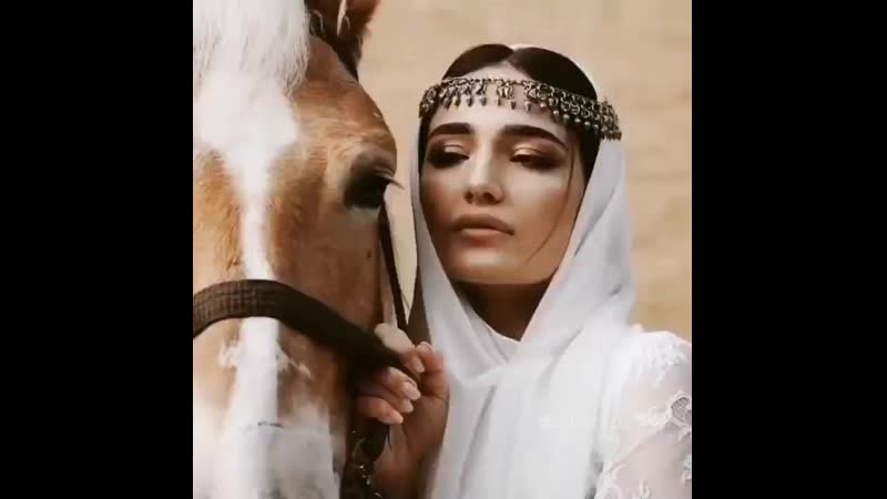 Восток красавица лошадь арабский скакун