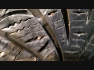 Колхозная ошипоа