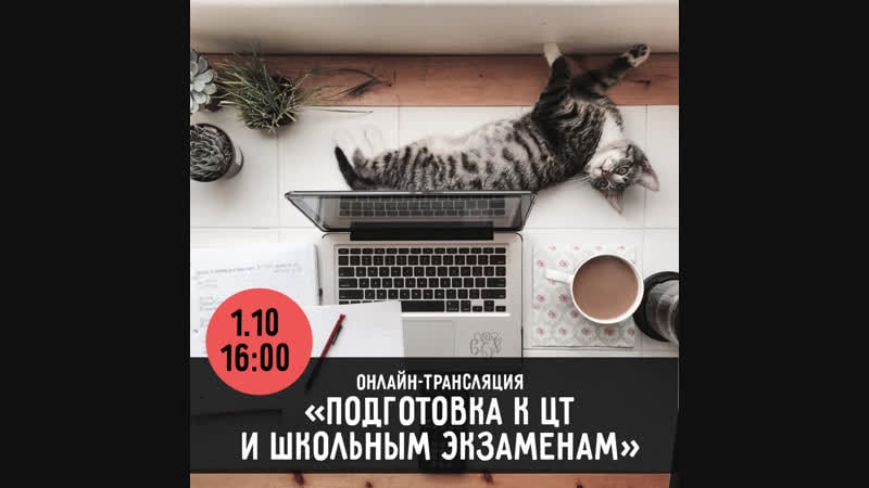 Подготоа к цт и школьным экзаменам (трансляция в instagram )
