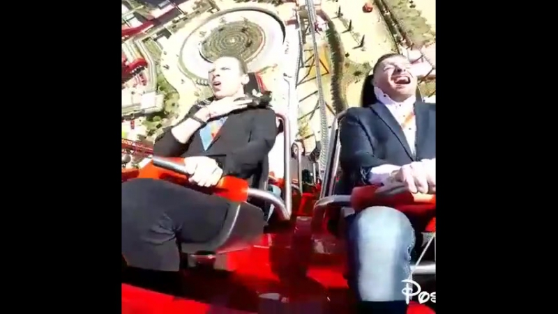 Голуб чик