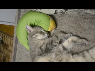 Маршал и варя