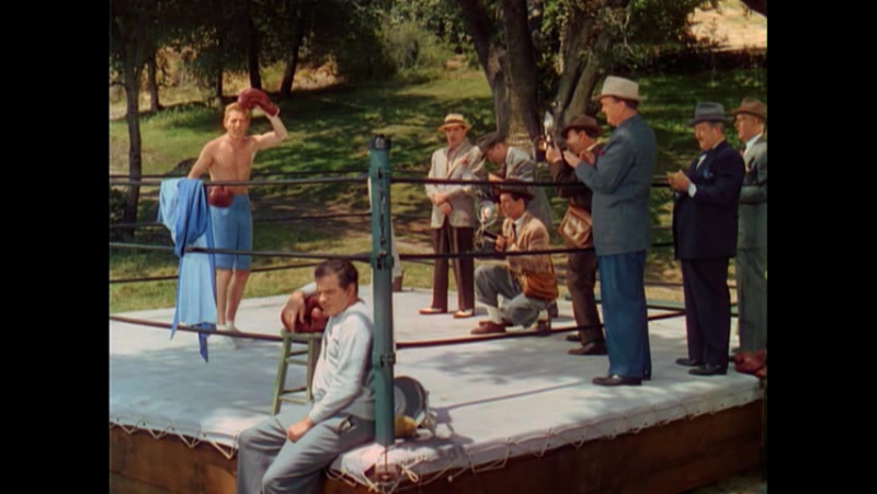 1946 малыш из бруклина / the porn from brooklyn