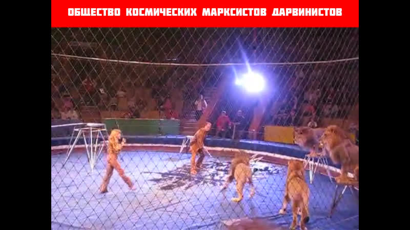 Цирки и зоопарки давно пора запретить сплошное живодёрство кисловодск, курорты ставропольского края