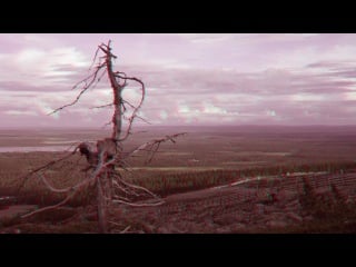 3d video anaglyph