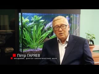 Гаряев пётр петрович интервью о волновой генетике на канале тв экстра