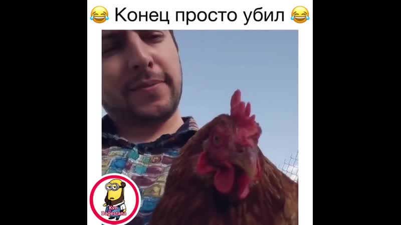 А это курица познакомит,с одним петухом😂