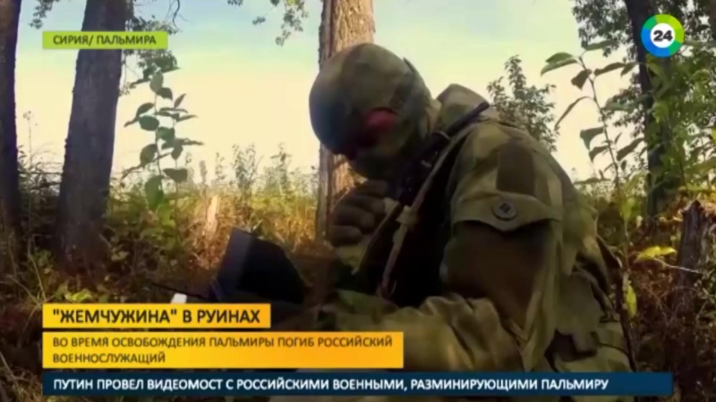 Российские саперы разминировали историческую пальмиру
