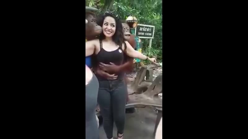 Орангутан облапал симпатичную туристку