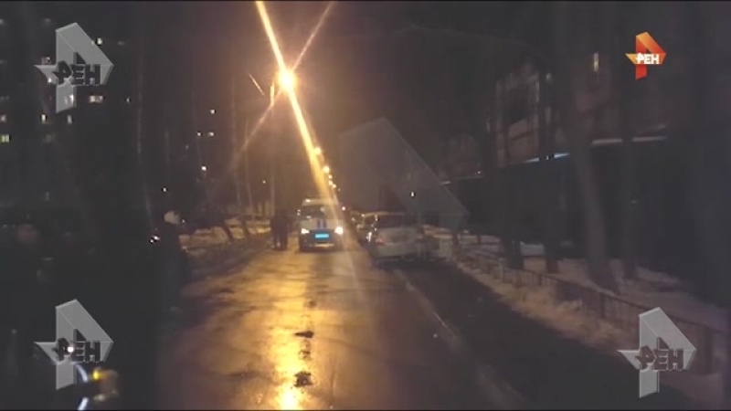 Няня, отрезавшая голову девочке, сопротивлялась полицейским на следственном эксперименте