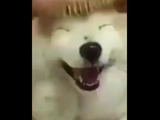 Jikook by porn ⁺¹⁸