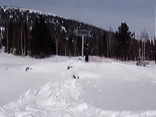 Ростик делает сальто )