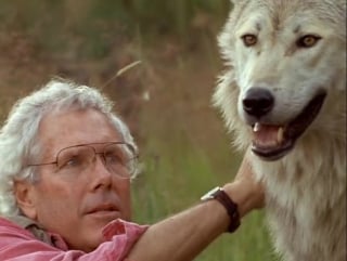 Жизнь с волками (living with wolves)