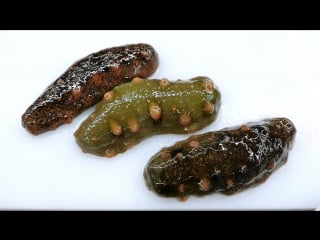 韓國路邊小吃 海參生魚片 海鮮 (sea cucumber трепанги )。