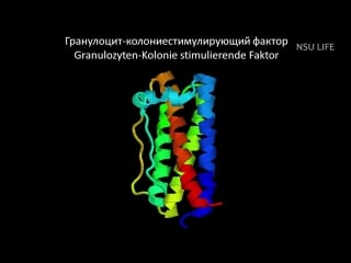 Молоко вдвойне усней, если это гмо! нариман баттулин science slam в академгородке