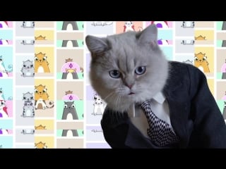 Crypto kitties коты о криптовалютах