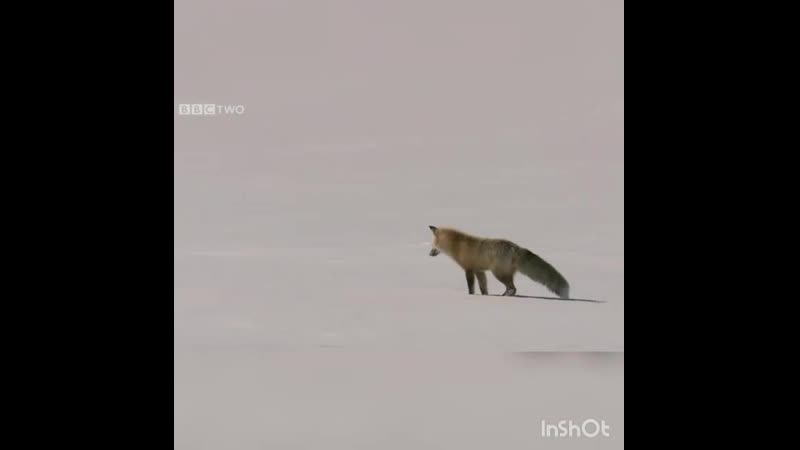 Ohota ribalka poltavskiy kray 20200419 204028 0 mp4