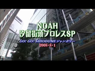 Pro wrestling noah go! go! shiodome jamboree 2008 shiodome street pro wrestling