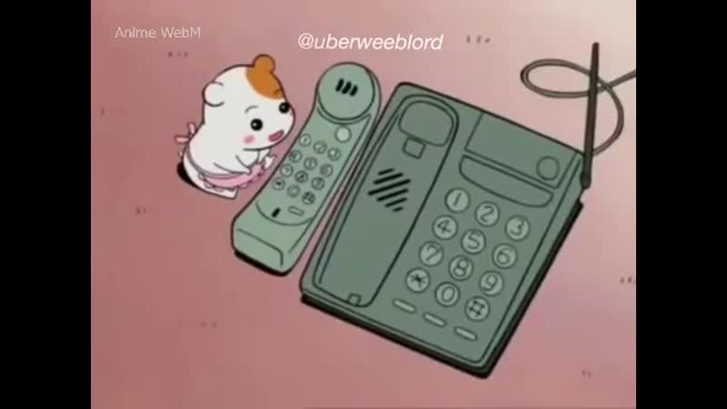 Oruchuban ebichu, konosuba