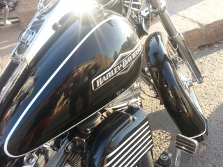 Harley davidson softail best sound мотовояж