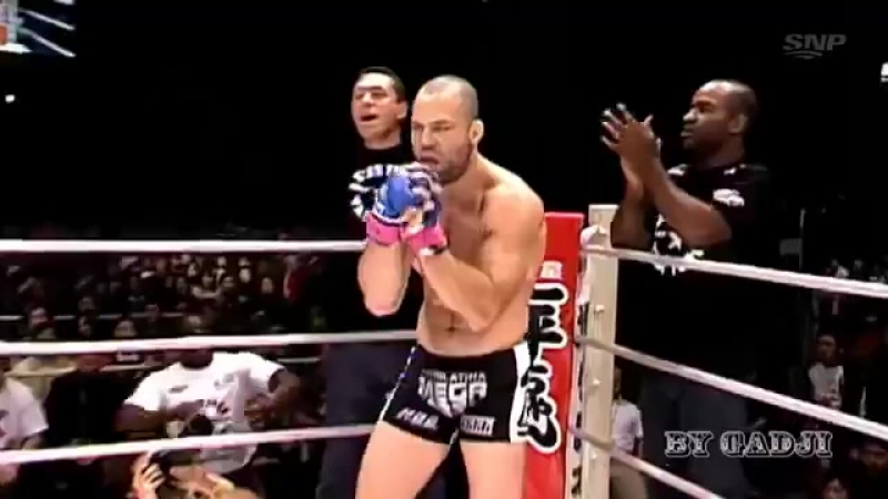 Wanderlei silva the best