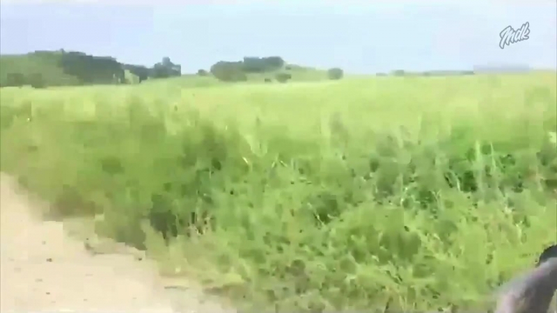 Неожиданная поломка [ ]